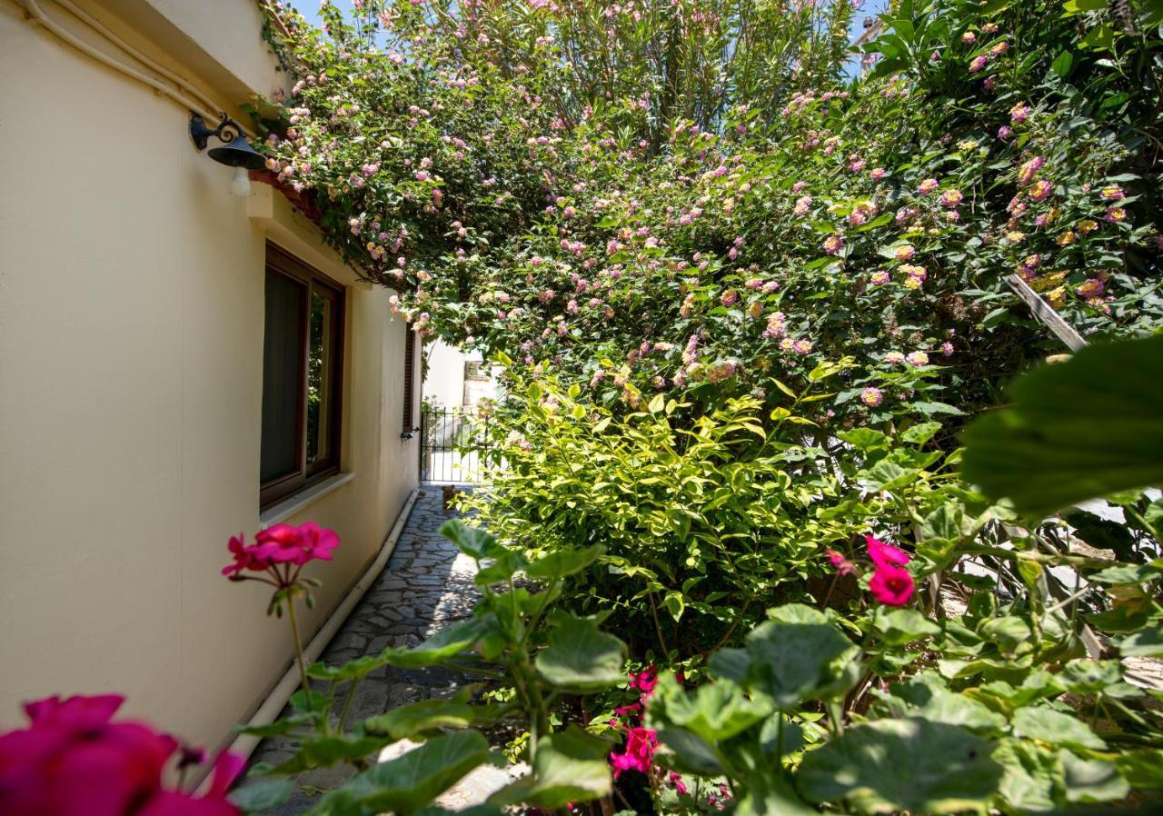 Elisavet'S House Βίλα Platanés Εξωτερικό φωτογραφία